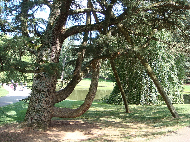 017 Longwood Gardens [2008 August 23].JPG - Longwood Gardens in Pennsylvania